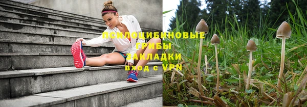 прущая мука Баксан