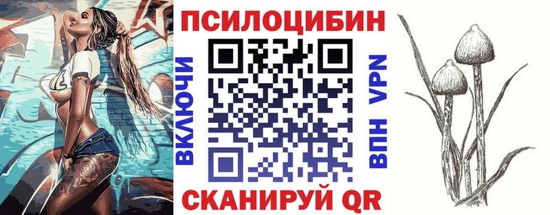 даркнет формула  Венёв  Галлюциногенные грибы Cubensis  купить наркотик 